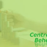Como Solicitar Seu Seguro Automotivo Central Beheer