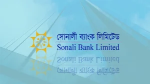 Empréstimos Sonali Bank: Soluções Adaptadas!